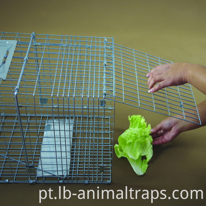 Liebang Animal Grande Metal Rabbit Cat Squirrel Cage Trap com Rague para os pés
